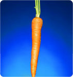 dangling_carrot1.jpg